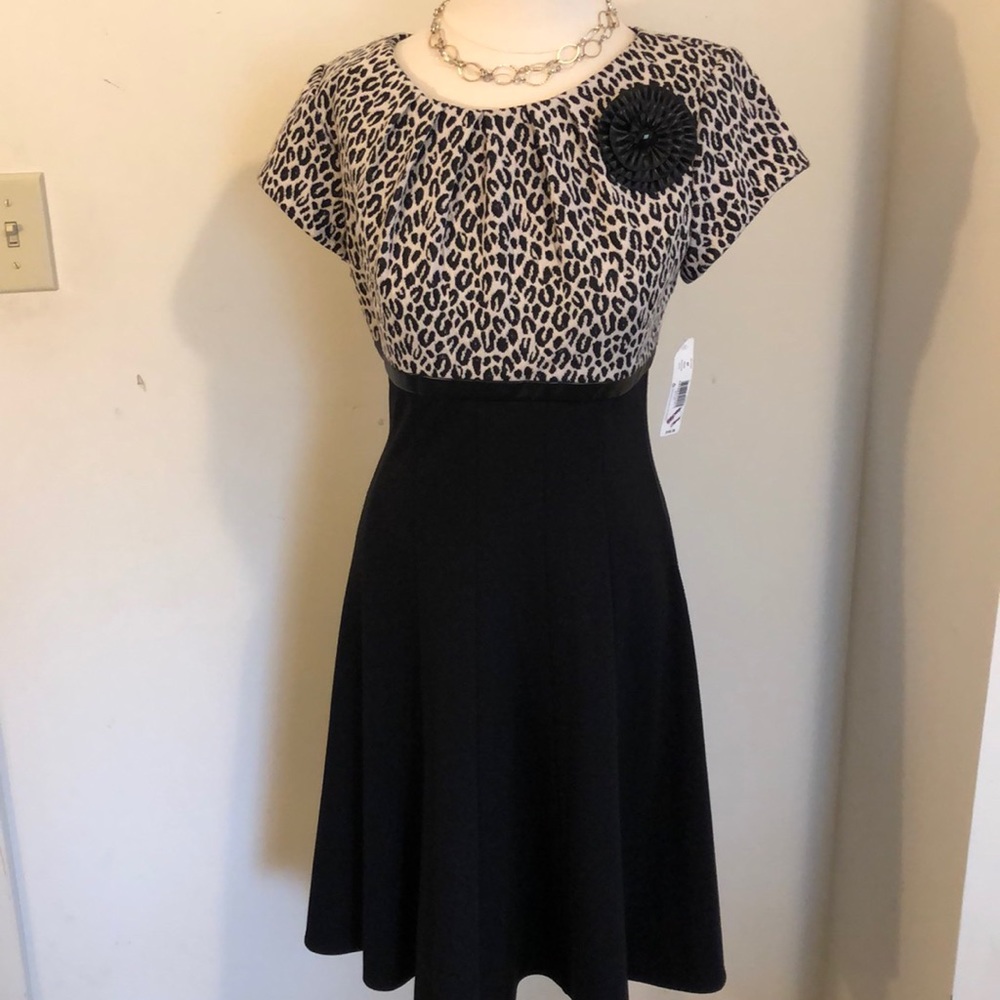 NWT fit and flare dress